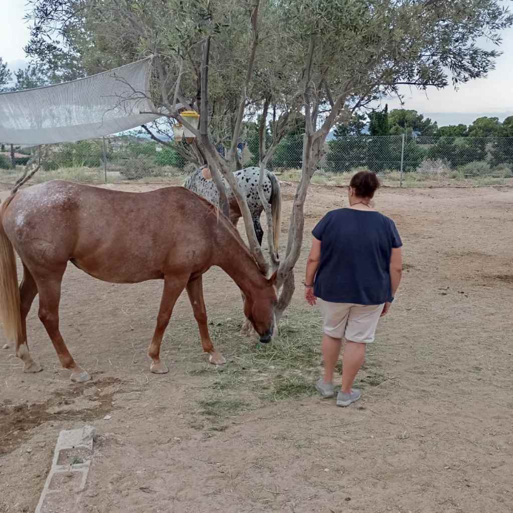 sonia acercándose a caballos