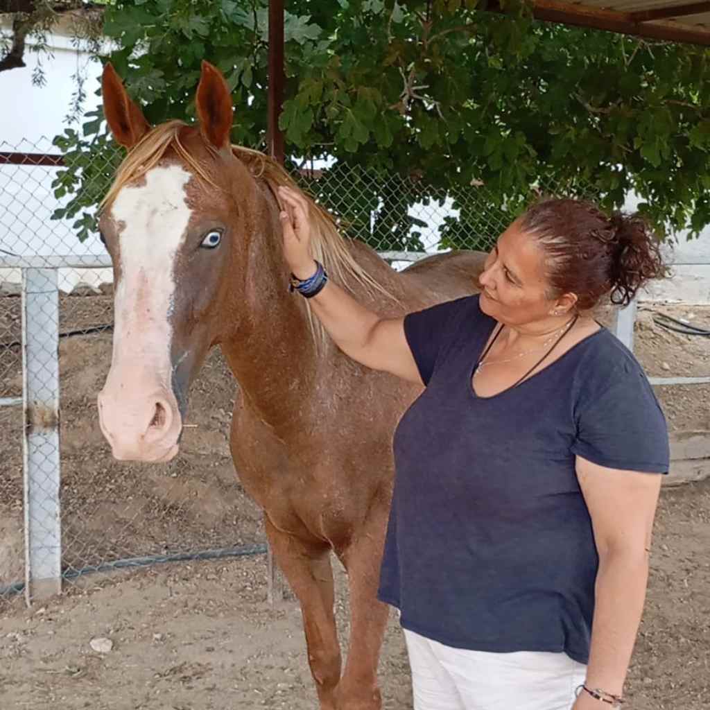 Terapia con caballos, el espejo donde podemos&nbsp;vernos